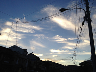 1IMG_1030s.jpg