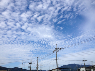 3IMG_1034s.jpg